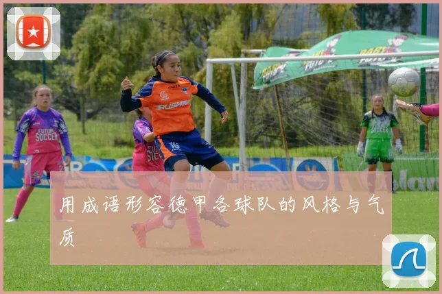 用成语形容德甲各球队的风格与气质