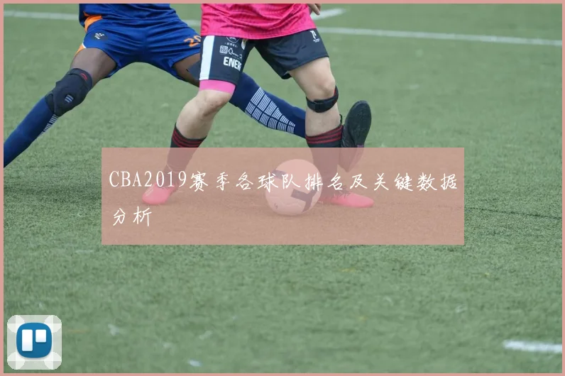 CBA2019赛季各球队排名及关键数据分析